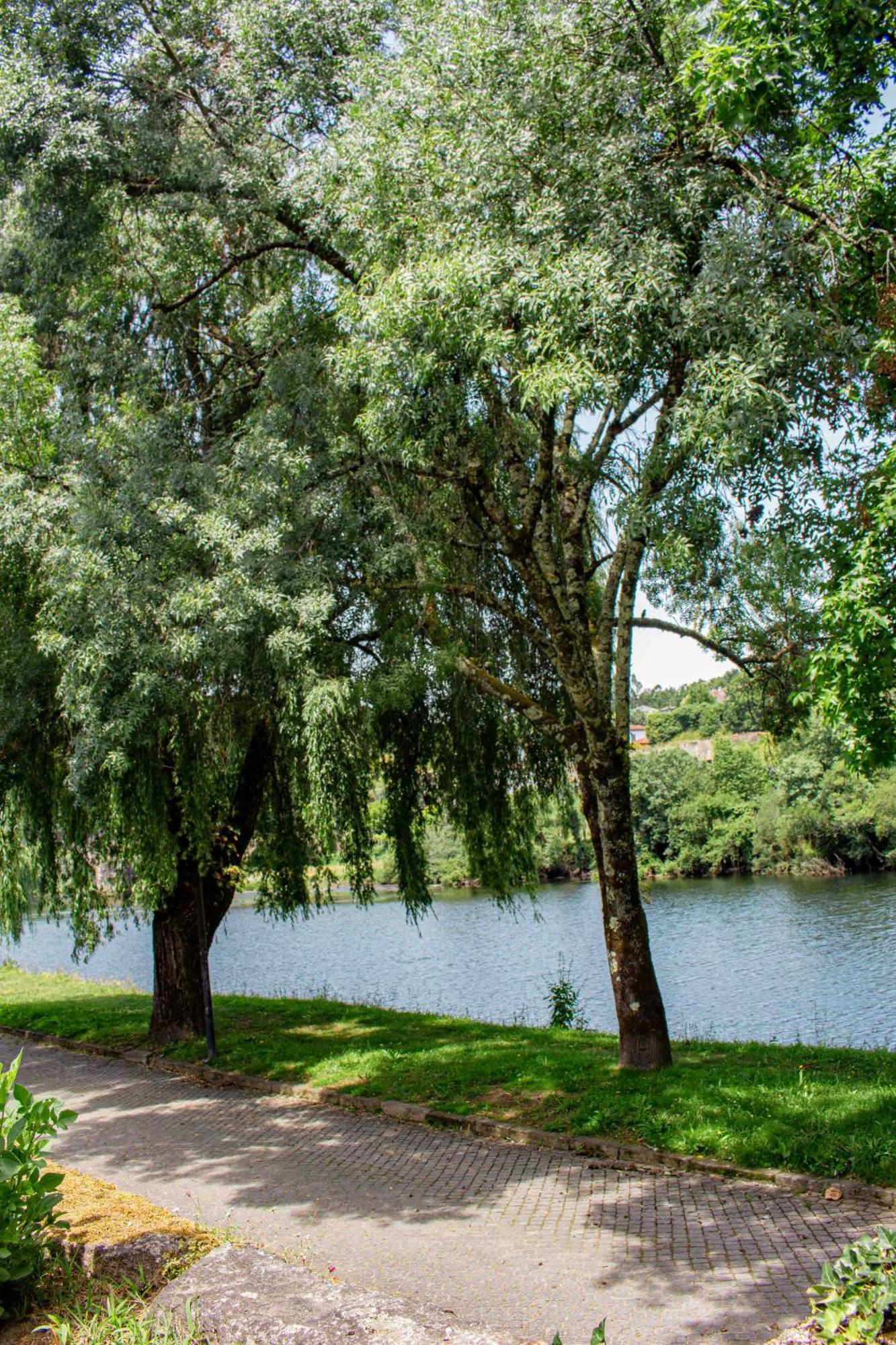 Casa Das Fontes Ponte da Barca Εξωτερικό φωτογραφία